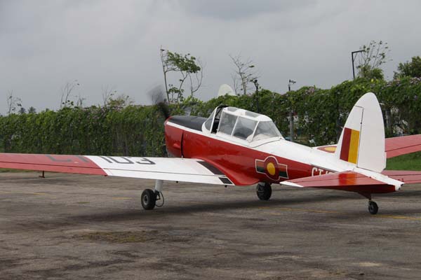 The Tiger Moth and Chipmunk Take to the Skies This Saturday