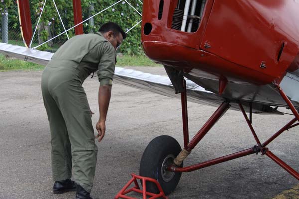 The Tiger Moth and Chipmunk Take to the Skies This Saturday