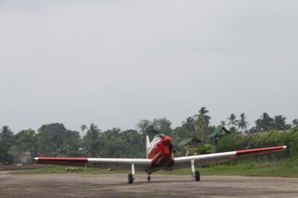 The Tiger Moth and Chipmunk Take to the Skies This Saturday