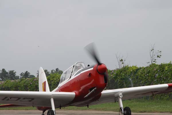 The Tiger Moth and Chipmunk Take to the Skies This Saturday