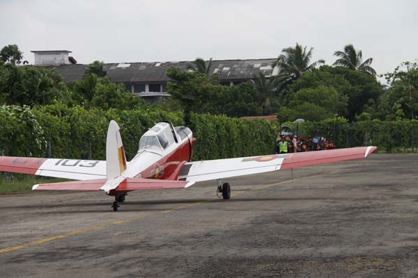 The Tiger Moth and Chipmunk Take to the Skies This Saturday