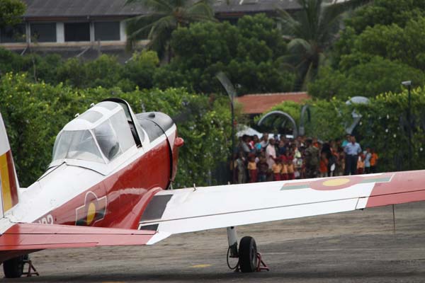 The Tiger Moth and Chipmunk Take to the Skies This Saturday