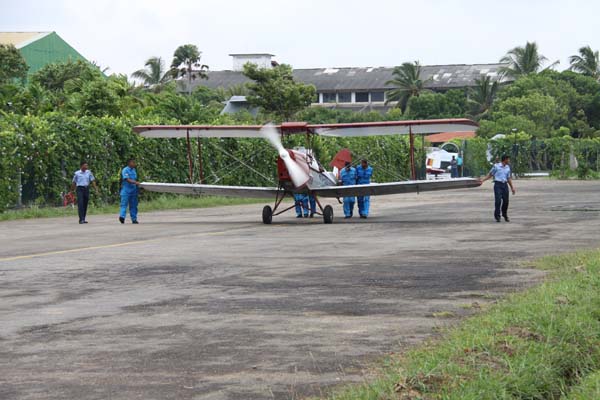 The Tiger Moth and Chipmunk Take to the Skies This Saturday
