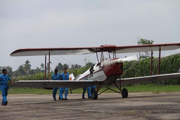 The Tiger Moth and Chipmunk Take to the Skies This Saturday