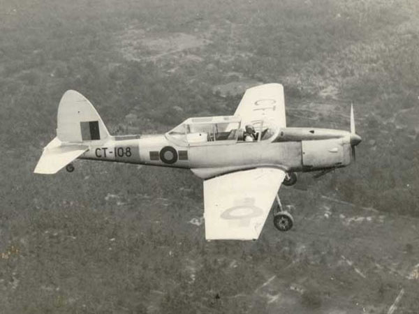 Tiger Moth and Chipmunk Takes to the Skies Tiger Moth and Chipmunk Takes to the Skies