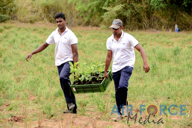 SLAF Resumed Reforestation Programme in Udawalawe Forest Reserve