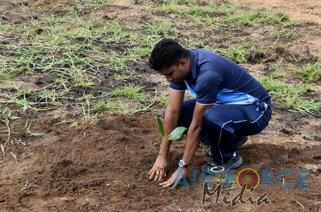 SLAF Station Morawewa Commences Jack Fruit Planting Programme