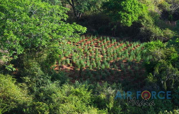 SLAF MARKS WORLD EARTH DAY
