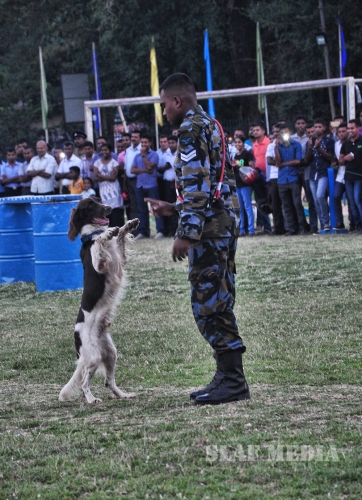 Variety Show at Vauniya