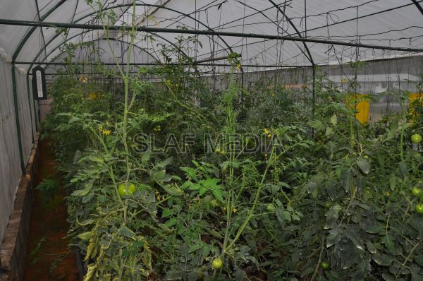 දියතලාව ගුවන් හමුදා කඳවුර උද්යාන අලංකාර සහ ගෙවතුවගා සම්මානය දිනාගනී...