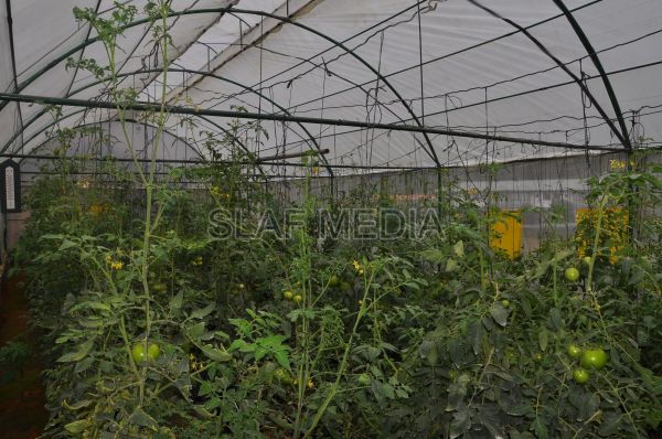 දියතලාව ගුවන් හමුදා කඳවුර උද්යාන අලංකාර සහ ගෙවතුවගා සම්මානය දිනාගනී...