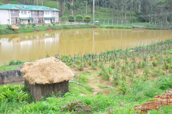 දියතලාව ගුවන් හමුදා කඳවුර උද්යාන අලංකාර සහ ගෙවතුවගා සම්මානය දිනාගනී...