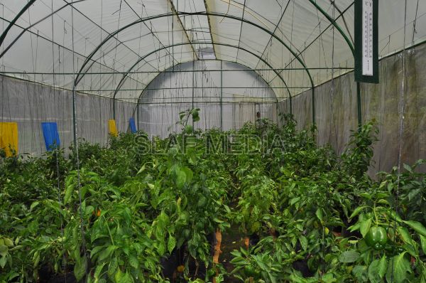 දියතලාව ගුවන් හමුදා කඳවුර උද්යාන අලංකාර සහ ගෙවතුවගා සම්මානය දිනාගනී...