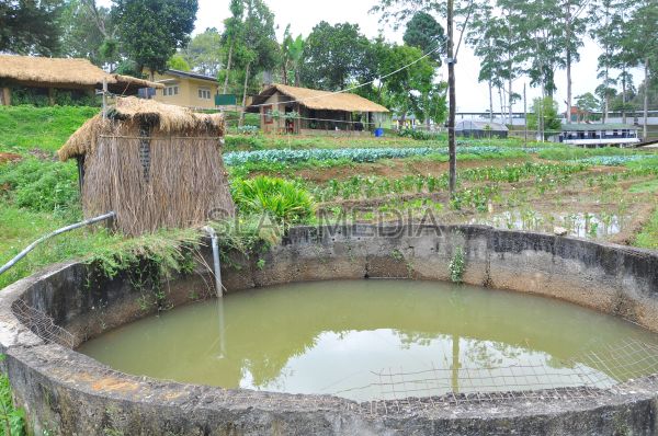 දියතලාව ගුවන් හමුදා කඳවුර උද්යාන අලංකාර සහ ගෙවතුවගා සම්මානය දිනාගනී...