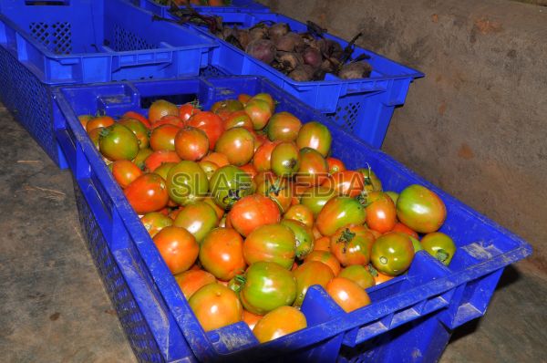 දියතලාව ගුවන් හමුදා කඳවුර උද්යාන අලංකාර සහ ගෙවතුවගා සම්මානය දිනාගනී...