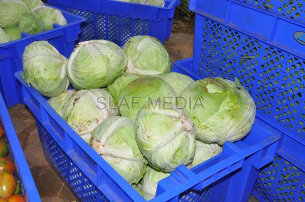 දියතලාව ගුවන් හමුදා කඳවුර උද්යාන අලංකාර සහ ගෙවතුවගා සම්මානය දිනාගනී...