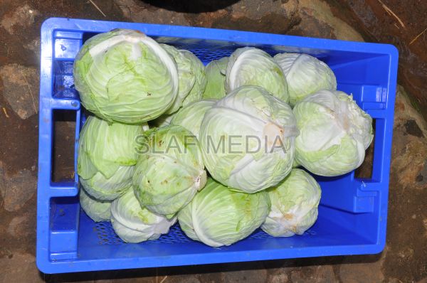 දියතලාව ගුවන් හමුදා කඳවුර උද්යාන අලංකාර සහ ගෙවතුවගා සම්මානය දිනාගනී...