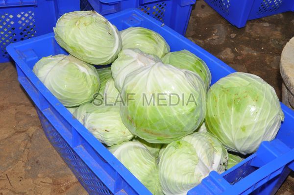 දියතලාව ගුවන් හමුදා කඳවුර උද්යාන අලංකාර සහ ගෙවතුවගා සම්මානය දිනාගනී...