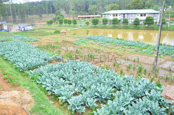 දියතලාව ගුවන් හමුදා කඳවුර උද්යාන අලංකාර සහ ගෙවතුවගා සම්මානය දිනාගනී...