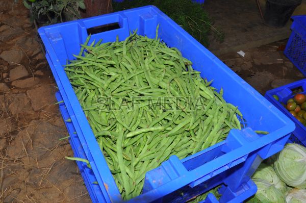 දියතලාව ගුවන් හමුදා කඳවුර උද්යාන අලංකාර සහ ගෙවතුවගා සම්මානය දිනාගනී...