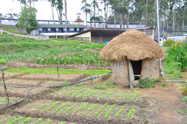 දියතලාව ගුවන් හමුදා කඳවුර උද්යාන අලංකාර සහ ගෙවතුවගා සම්මානය දිනාගනී...