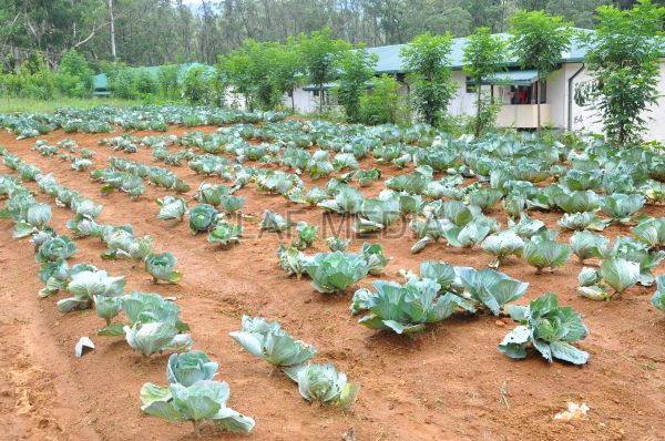 දියතලාව ගුවන් හමුදා කඳවුර උද්යාන අලංකාර සහ ගෙවතුවගා සම්මානය දිනාගනී...