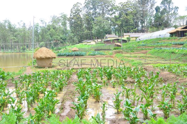 දියතලාව ගුවන් හමුදා කඳවුර උද්යාන අලංකාර සහ ගෙවතුවගා සම්මානය දිනාගනී...