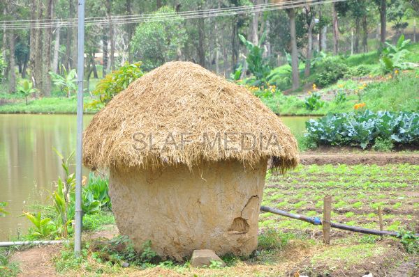 දියතලාව ගුවන් හමුදා කඳවුර උද්යාන අලංකාර සහ ගෙවතුවගා සම්මානය දිනාගනී...