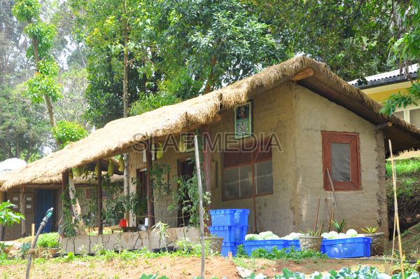 දියතලාව ගුවන් හමුදා කඳවුර උද්යාන අලංකාර සහ ගෙවතුවගා සම්මානය දිනාගනී...