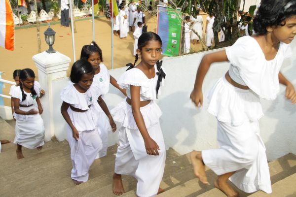 “Viru Liya Sarani” Programme At SLAF Unit Katukurunda