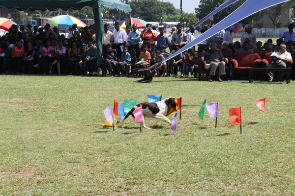 SLAF Ex-Air Force Association is Thirty Years Old