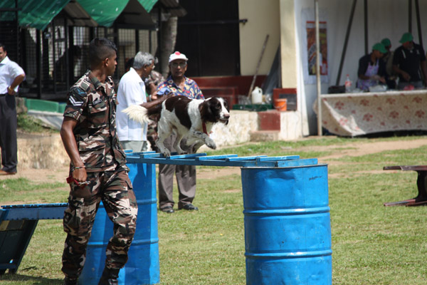 SLAF Ex-Air Force Association is Thirty Years Old