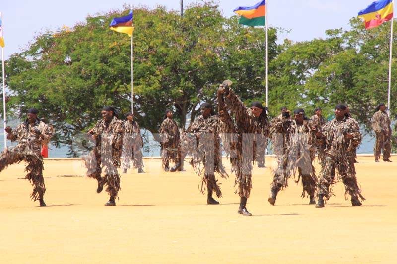 Wings to 20 and Passing-Out for 112 at China Bay