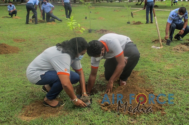 White Sandalwood Tree Planting Programme by SLAF Station Weerawila