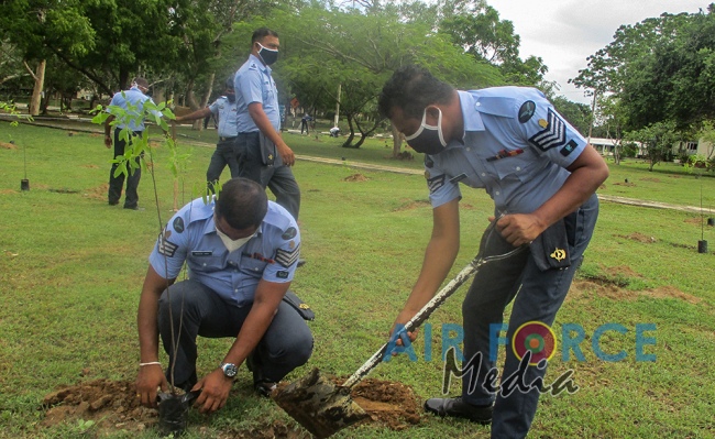 White Sandalwood Tree Planting Programme by SLAF Station Weerawila