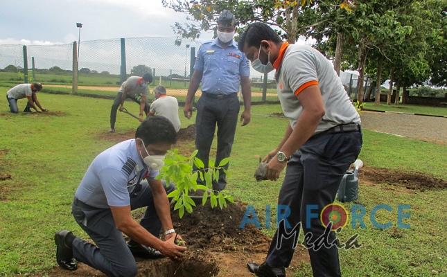 White Sandalwood Tree Planting Programme by SLAF Station Weerawila