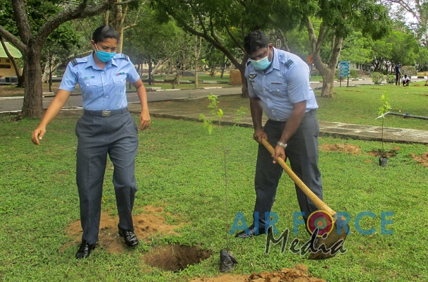 White Sandalwood Tree Planting Programme by SLAF Station Weerawila