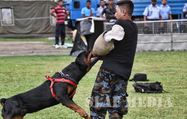SLAF Seva Vanitha Unit Celebrates World Children's Day-2018