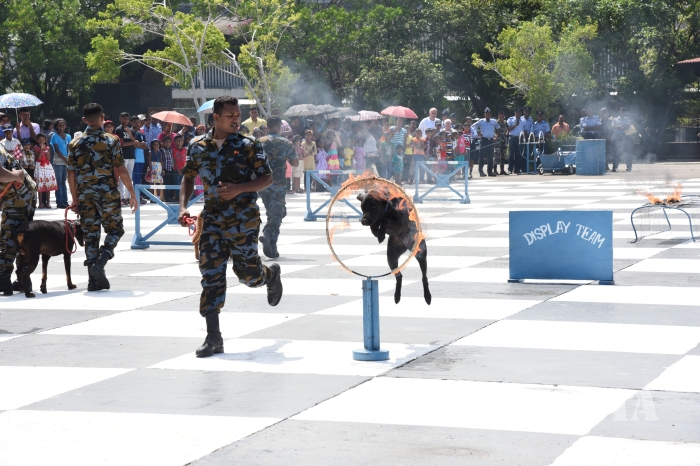 SLAF Seva Vanitha Unit Celebrates World Children's Day