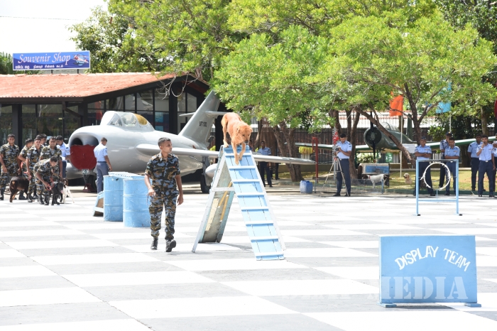 SLAF Seva Vanitha Unit Celebrates World Children's Day