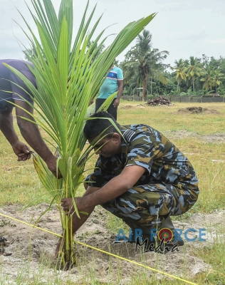 SLAF Commemorate World Coconut Day