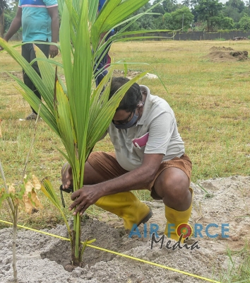 SLAF Commemorate World Coconut Day