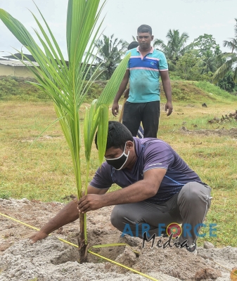 SLAF Commemorate World Coconut Day