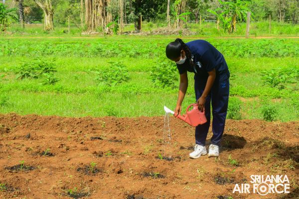 SLAF CONTRIBUTES TO NATIONAL AGRICULTURAL HOME GARDEN DEVELOPMENT PROGRAMME ‘HARITHA DEYAK’ – 2022