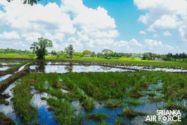 SLAF CONTRIBUTES TO NATIONAL AGRICULTURAL HOME GARDEN DEVELOPMENT PROGRAMME ‘HARITHA DEYAK’ – 2022